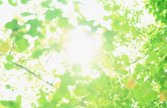 いつでもキロク【生活と行動の記録アプリ】