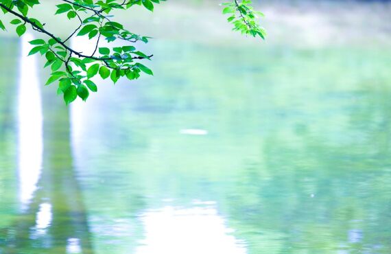 日常に活かすABA：幼児・学童期の行動支援の基本と工夫-学校・施設・家庭で使えるABA